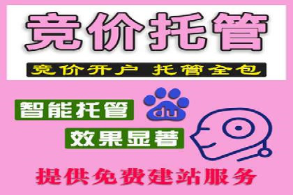 百度竞价代理实战技巧：经典案例深度解读